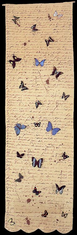 Palimpseste Avec Papillons